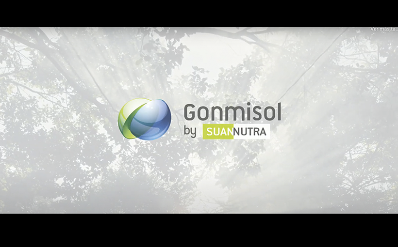 Gonmisol